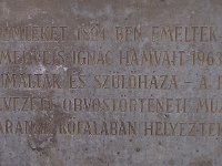 01-01 Semmelweis Ignác sírjele